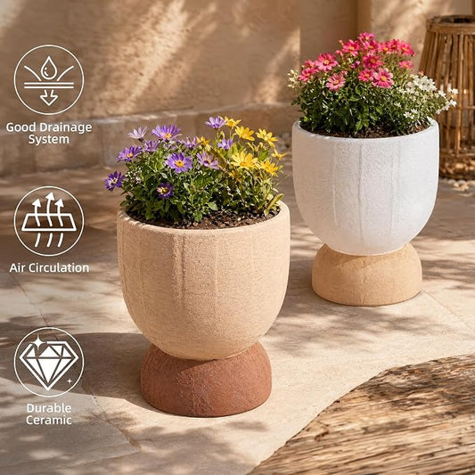DREAMLOOM 6.4Inch Coarse-Grained Terracotta Pots for Succulents, 2Pcs Flower Planters with Drainage Holes, Bonsai, Cactus Aloe, Herbs, Orchid, Rustic Color