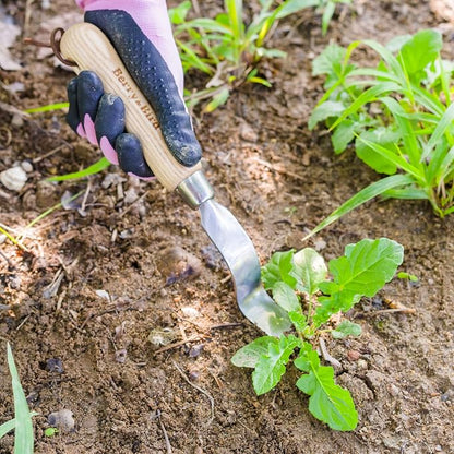 Berry&Bird Hand Weeder Tool, 12.1" Stainless Steel Gardening Weed Puller | Manual Weeding Removal Cutter Tool with Ash Wood Handle for Planting, Weeding, Flower & Vegetable Care in Garden Lawn Yard