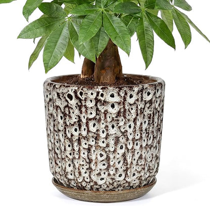 10 Inch Ceramic Planter Pot with Saucer Drainage Leak-Proof Mesh,Flower Pots for Indoor Plants with Gardening Gloves,Ceramic Planter(Spotted-White)