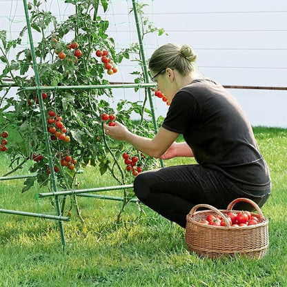 HIRALIY A Frame Cucumber Trellis for Climbing Plants Outdoor, 57" x 31" Heavy Duty Metal Garden Trellis, Rustproof Plant Support for Tomato, Grape, Bean, Raised Bed and Vegetable Gardens, Green