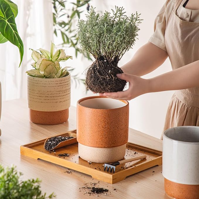 6 Inch Ceramic Self Watering Planter with Drainage Hole Terracotta | Indoor Plant Pot with Water Storage Plus - for African Violet, Herbs & Pothos - Home & Office Decor, Cylinder Round