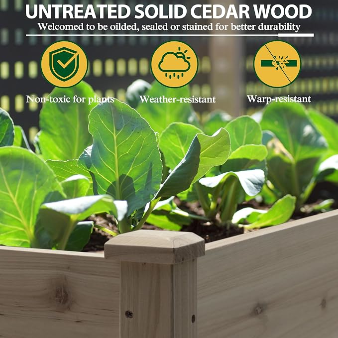 BlueWish 72''L x 23''W x 30''H Raised Garden Bed Outdoor, 2x6 FT Cedar Garden Bed with 8 Drainage Holes & 6 Legs, Elevated Planter Boxes for Gardening, Vegetable, Flower, 661lbs Capacity, Brown