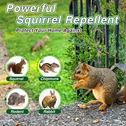 24 Pack Squirrel Repellent Outdoor Balls, Peppermint Oil Squirrel Deterrent Indoor & Outdoor Use for Attic, Car, Garage, Garden, Safe for Family & Pets