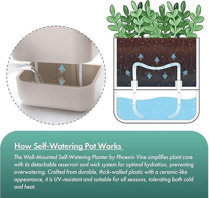 Phoenix Vine 3.5 Inch Wall Mounted Self-Watering Planter Pot for Indoor Houseplants and Herbs | Hanging Planter for Window Sills, Bathroom Walls, Home & Office Décor, Oatmeal, Set of 6, 01-A-G-6