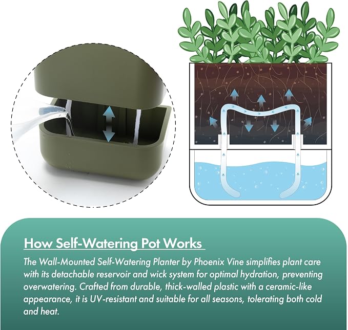 Phoenix Vine 3.5 Inch Wall Mounted Self-Watering Planter Pot for Indoor Houseplants and Herbs | Hanging Planter for Window Sills, Bathroom Walls, Home & Office Décor, Olive, Set of 2, 01-A-F-2