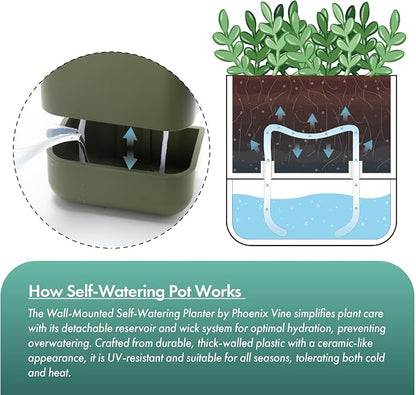 Phoenix Vine 3.5 Inch Wall Mounted Self-Watering Planter Pot for Indoor Houseplants and Herbs | Hanging Planter for Window Sills, Bathroom Walls, Home & Office Décor, Olive, Set of 2, 01-A-F-2