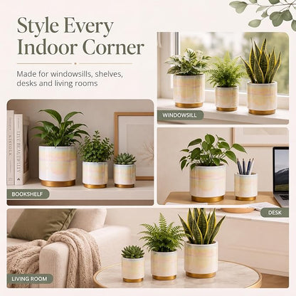 Gepege White Indoor Pots for Plants, Ceramic Planter with Drainage Hole, 6.0 inch+5.0 Inch+4.0 Inch. Succulent Orchid Flower Pot - Rainbow Pearl Glaze