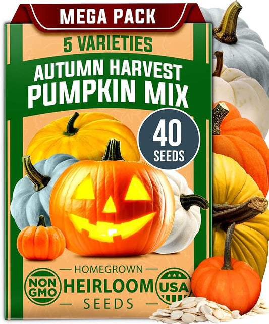 HOME GROWN Pumpkin Seeds 5 Variety Mix 40+ Heirloom Non-GMO, High Germination, Connecticut Field, Blue, White & Mini Pumpkins,Edible & Jack O Lanterns,Autumn Harvest,Ornamental Garden (Cucurbita pepo)