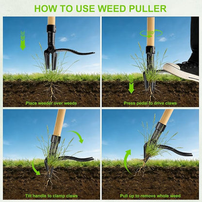 Stand Up Weed Puller Tool - 4-Claw Steel Head, 31"-44.5" Adjustable Long Handle, Heavy Duty Garden Weeder with Foot Pedal, Easy Root Removal for Lawn, Yard, Garden & Flower Bed