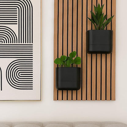 Phoenix Vine 6.5 Inch Wall Mounted Self-Watering Planter Pot for Indoor Houseplants and Herbs | Hanging Planter for Window Sills, Bathroom Walls, Home & Office Décor, Black, Set of 1, 01-C-E-1