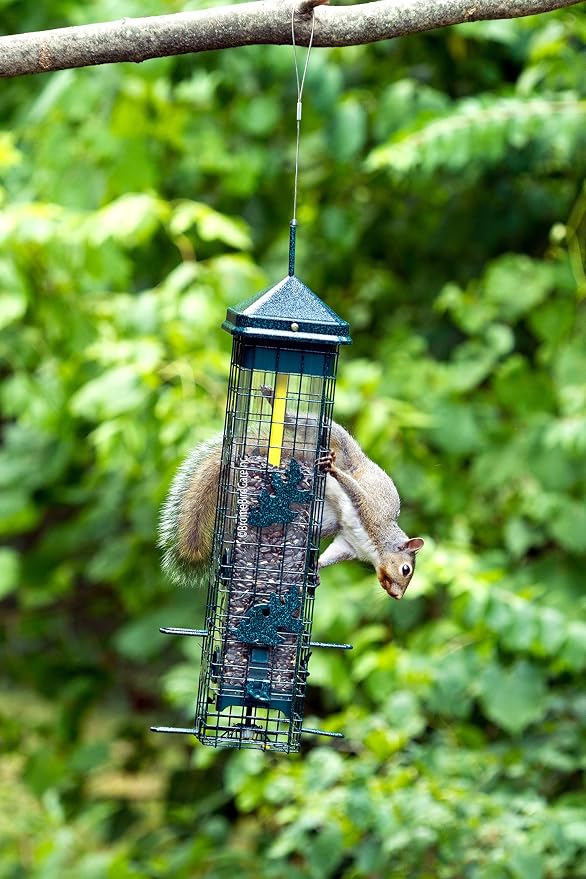 Squirrel Solution200 Squirrel-proof Bird Feeder w/6 Feeding Ports, 3.4-pound Seed Capacity, Free Seed Funnel | Powder-Coated Metal Shroud, Spring-Loaded Weight-Closing, Polycarbonate Tube, Includes Seed Funnel