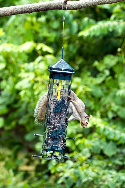 Squirrel Solution200 Squirrel-proof Bird Feeder w/6 Feeding Ports, 3.4-pound Seed Capacity, Free Seed Funnel | Powder-Coated Metal Shroud, Spring-Loaded Weight-Closing, Polycarbonate Tube, Includes Seed Funnel