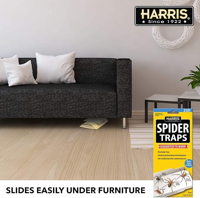 Harris Spider Glue Traps, Pesticide Free (2-Pack), Kills Brown Recluse, Hobo Spider, Black Widow and More