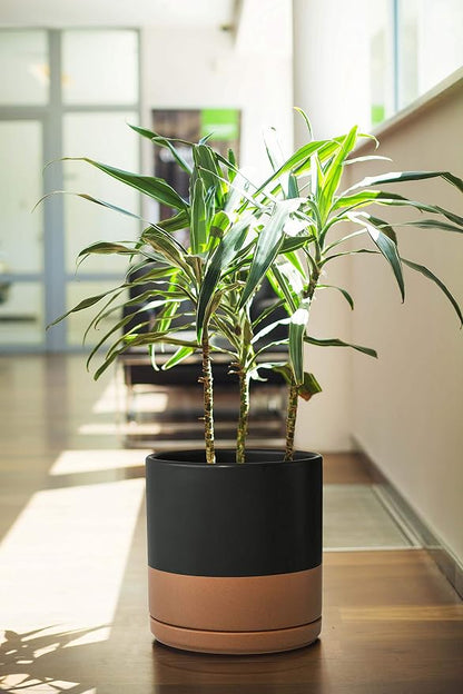 D'vine Dev 8 Inch Ceramic Planter Pot, Black/Tan, 94-O-D-7 | Modern Cylinder Design, Drainage Hole & Saucer Included, Stable Structure, Elegant Home Accent