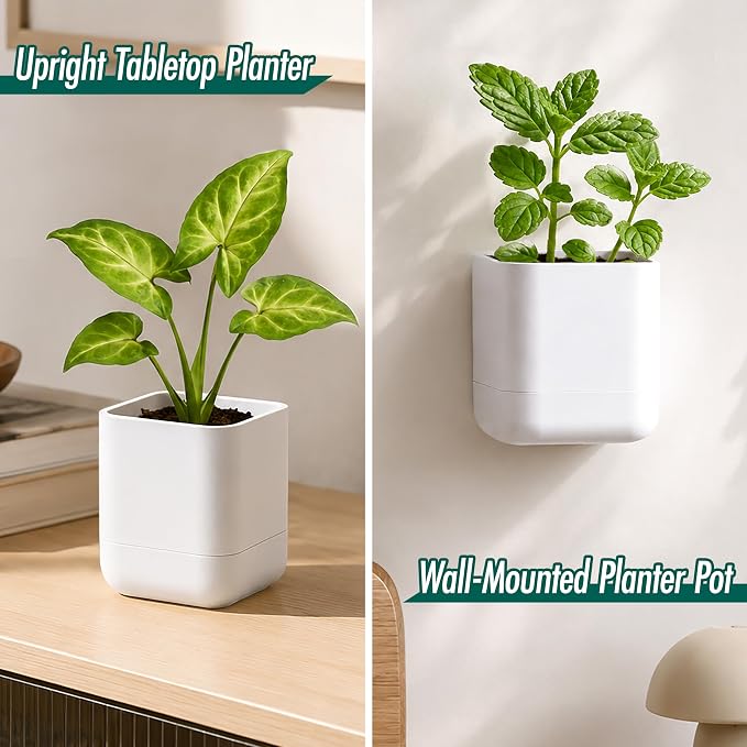 Phoenix Vine 3.5 Inch Wall Mounted Self-Watering Planter Pot for Indoor Houseplants and Herbs | Hanging Planter for Window Sills, Bathroom Walls, Home & Office Décor, White, Set of 1, 01-A-D-1