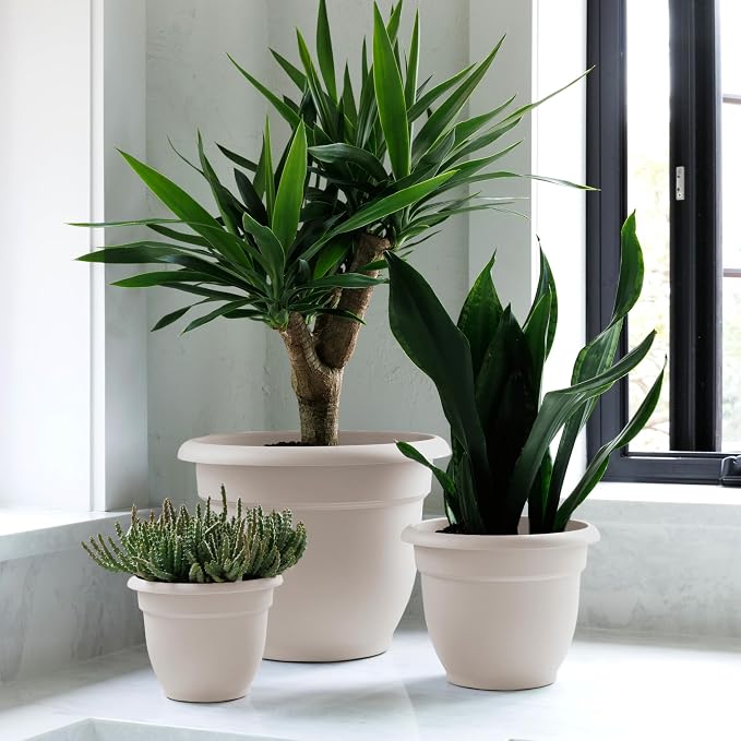 Bloem Ariana 8" Plastic Self-Watering Planter, Vanilla Bean, 4-Pack | Self-watering disk at the bottom of each pot that acts as a water wick and reservoir for optimal plant health