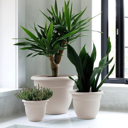 Bloem Ariana 8" Plastic Self-Watering Planter, Vanilla Bean, 4-Pack | Self-watering disk at the bottom of each pot that acts as a water wick and reservoir for optimal plant health
