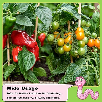 Worm Castings Organic Fertilizer 5.5 LBS by Doter, All Nature Fertilizer for Gardening, Tomato, Strawberry, Flower, and Herbs