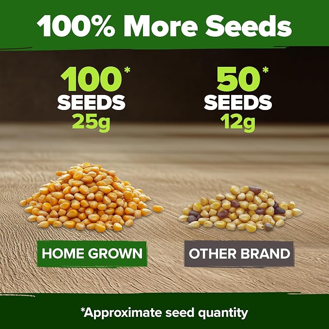 HOME GROWN Golden Bantam Sweet Corn Seeds 100+ Heirloom Non-GMO Seeds for Planting, High Germination, Yellow Kernel Corn on the Cob, Early Summer Harvest, Easy to Grow Home Garden Crop (Zea mays)