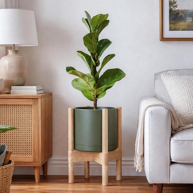 D'vine Dev Plastic Pot with Natural Wood Stand, Olive, 8 in, 55-C-J-3 | Mid-Century Inspired Design, Elevated Plant Display, Clean Lines, Sturdy Support, Modern Space-Saving Style
