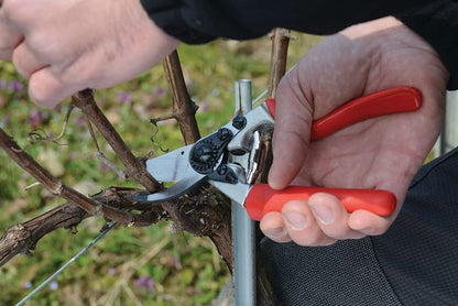 Felco Pruning Shears (F 7) & FELCO322 Snips - Swiss Made Garden Pruners & Picking Shears Bundle