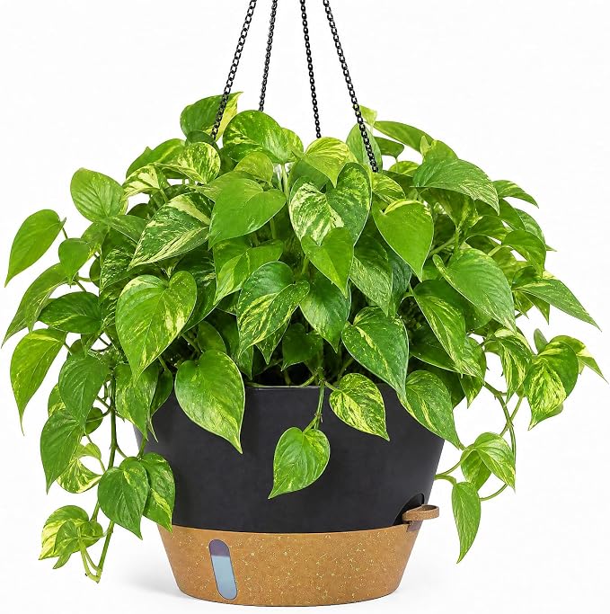 ZMTECH 12 Inch Hanging Planters for Indoor Plants, Large Self Watering Hanging Planter with Visible Water Level Window & Chain, Dark Gray Hanging Baskets for Outdoor Patio