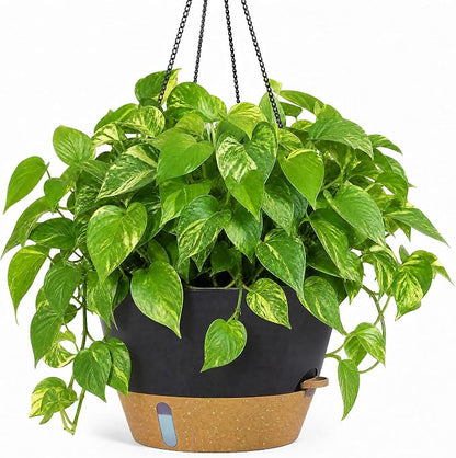 ZMTECH 12 Inch Hanging Planters for Indoor Plants, Large Self Watering Hanging Planter with Visible Water Level Window & Chain, Dark Gray Hanging Baskets for Outdoor Patio