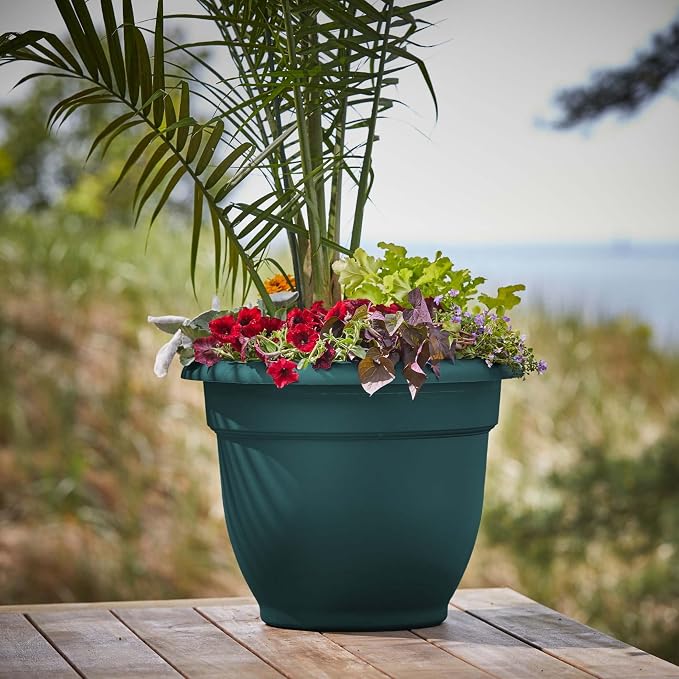 Bloem Ariana 20" Plastic Self-Watering Planter, Charleston Green, 2-Pack | Self-watering disk at the bottom of each pot that acts as a water wick and reservoir for optimal plant health