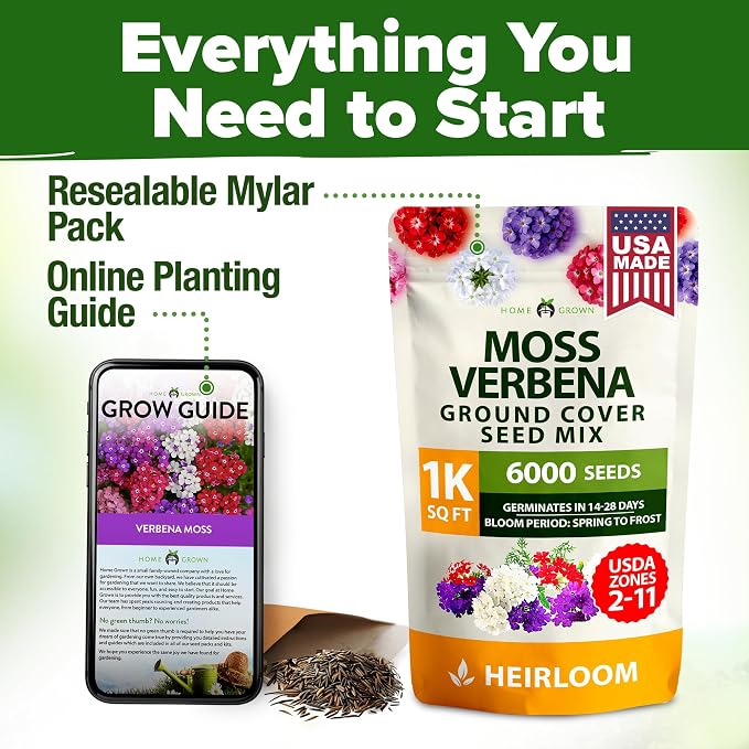 HOME GROWN Verbena Moss Seeds - 6000+ Perennial Flower Seeds for Ground Cover - Heat-Tolerant Plant Seed for Outdoor Gardening, Walkways & Erosion Control - Attracts Pollinators (Verbena Tenuisecta)