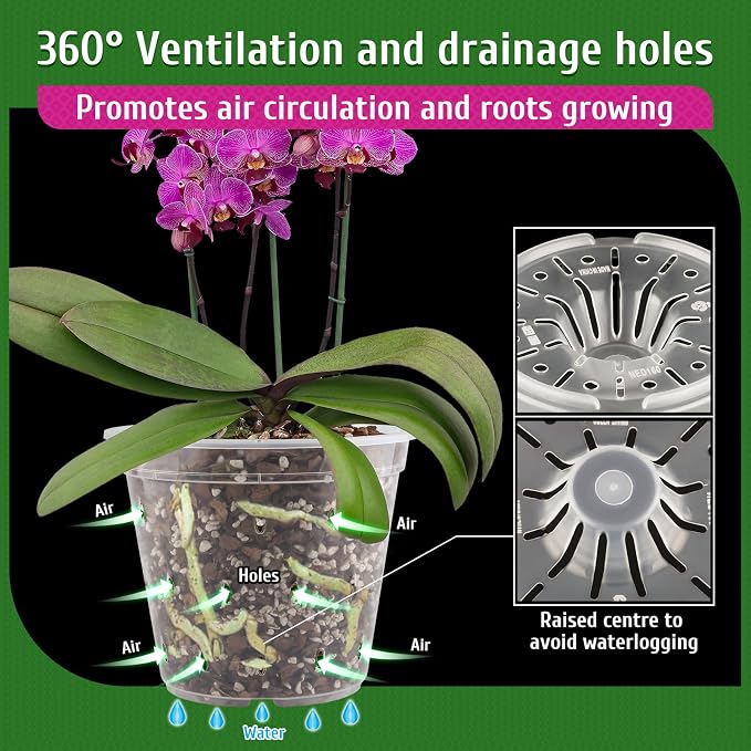 REMIAWY Orchid Pot, 6 Pack Orchid Pots with Holes, 5.5 Inch Clear Plastic Flower Planters for Repotting Indoor Outdoor, Breathable Slotted Nursery Planter