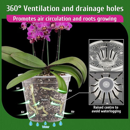 REMIAWY Orchid Pot, 6 Pack Orchid Pots with Holes, 5.5 Inch Clear Plastic Flower Planters for Repotting Indoor Outdoor, Breathable Slotted Nursery Planter