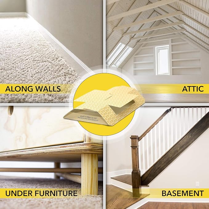 Harris Spider Glue Traps, Pesticide Free (2-Pack), Kills Brown Recluse, Hobo Spider, Black Widow and More