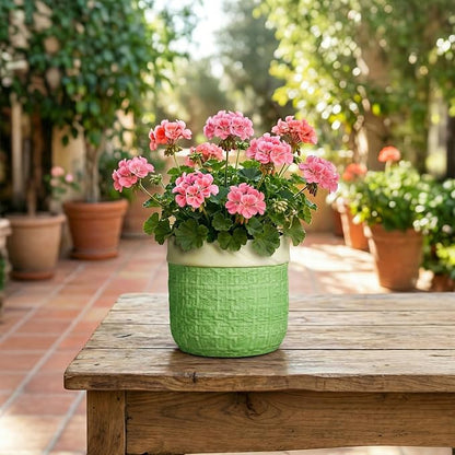 Ceramic Plant Pots - 6 Inch Plant Pot with Drainage Hole, Boho Planters for Indoor Succulent Plants, Decorative Round Unique Flower Pots, Garden Home Office Decor, Housewarming Gifts, Green