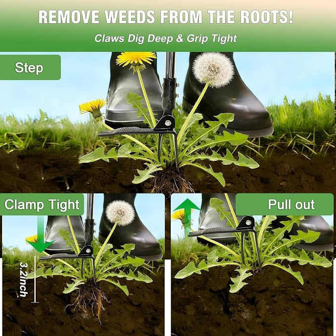 Weed Puller Tool, Heavy Duty Stand Up Weeder Tool with Long Stainless Steel Handle & 4-Claw Steel Head, Weeding Tool with Adjustable Handle, Easily Remove Weeds Without Bending, Pulling or Kneeling