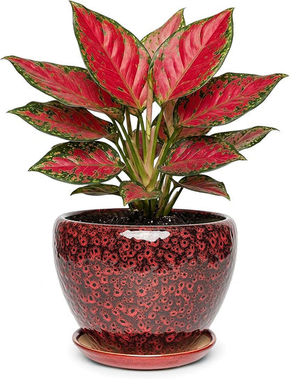 7.5 Inch Ceramic Plant Pot with Drainage Hole Mesh Net,Modern Gardening Pots for Indoor Plants with Saucer, Speckle Red