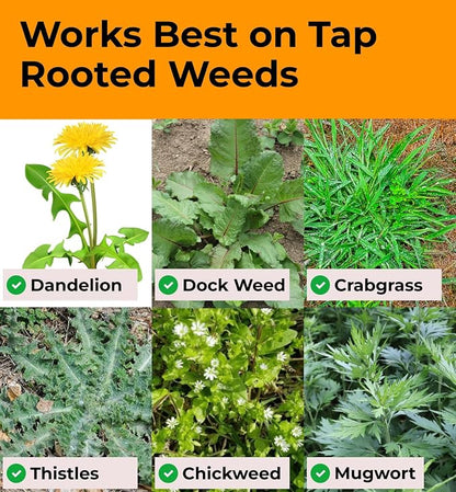 Craft911 Stand Up Weed Puller Tool with Long Handle - Dandelion Weeding Tool, No More Bending