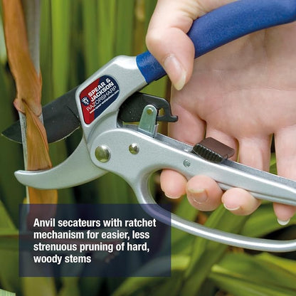 Spear & Jackson Razorsharp Ratchet Anvil Pruners, Heavy-Duty Garden Shears for Cutting Thick Branches with Ratchet Mechanism