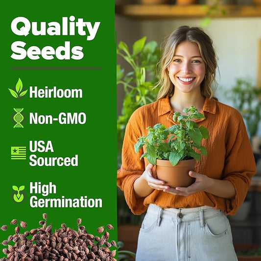 HOME GROWN Non GMO Catnip Seeds (Bulk Pack) Heirloom Herb 2,116 Seeds - Indoor or Outdoor Seed - High-Germination Cat Nip - Cat Safe Plants (Nepeta cataria)