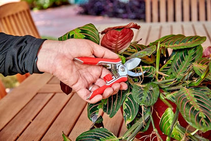 Corona Tools BP13624 Yard Essentials Houseplant Pruners, Variety Pack of 12