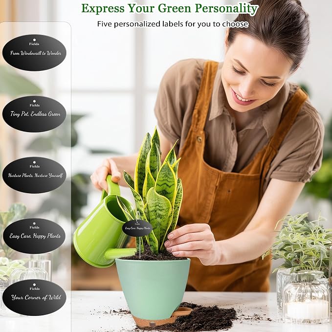 6 Inch Self Watering Pots for Indoor Plants(5-Pack) – Small Plastic Planters with Water Level Window, Drainage Holes & Detachable Trays, Indoor Outdoor Flower Pots for Herbs, Snake,Pothos (Green)