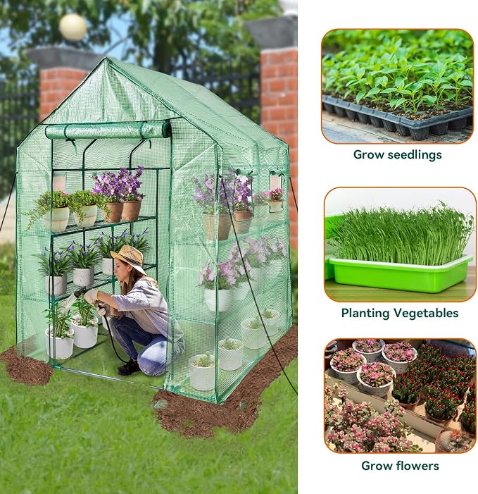 Walk in Greenhouse with Shelves,Plastic Growhouse Frame for Garden,12 Tiers Green House with Reinforced PE Cover and 4 Windows,56" L x 56" W x 77" H,for Indoor Outdoor Seeding and Plant Growing