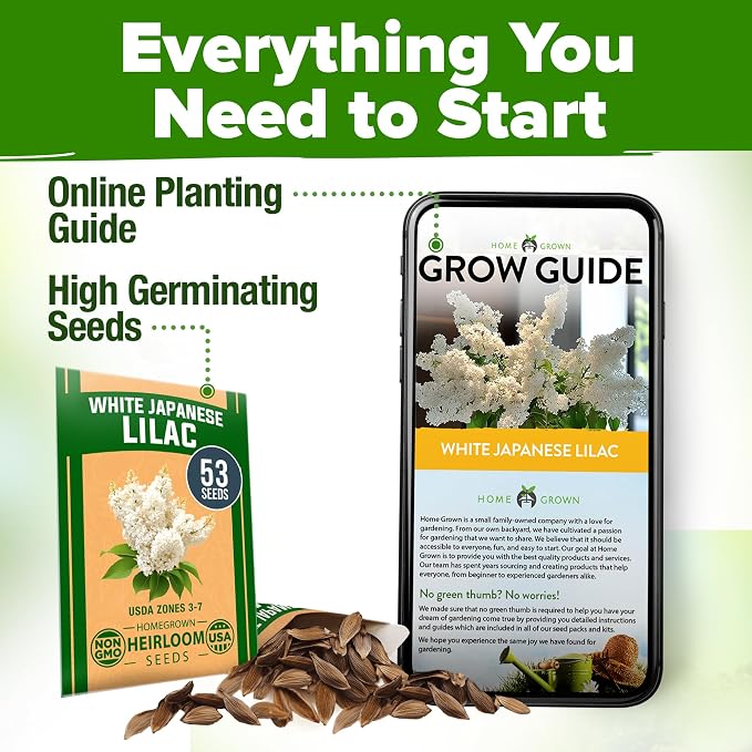 HOME GROWN 53 White Lilac Flower Seeds Non-GMO, Heirloom Tree Seeds for Planting, Fragrant Flowering Tree Seeds for Landscaping, Pollinator Gardens, and Ornamental Borders (Syringa reticulata)
