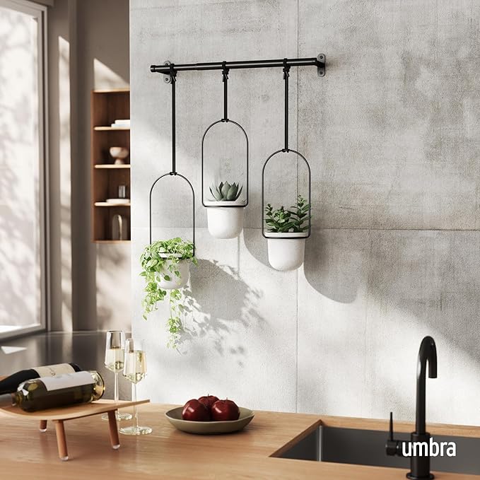 Umbra Triflora Hanging Planter for Window, Indoor Herb Garden, Set of 3, White/Black (Pack of 3)