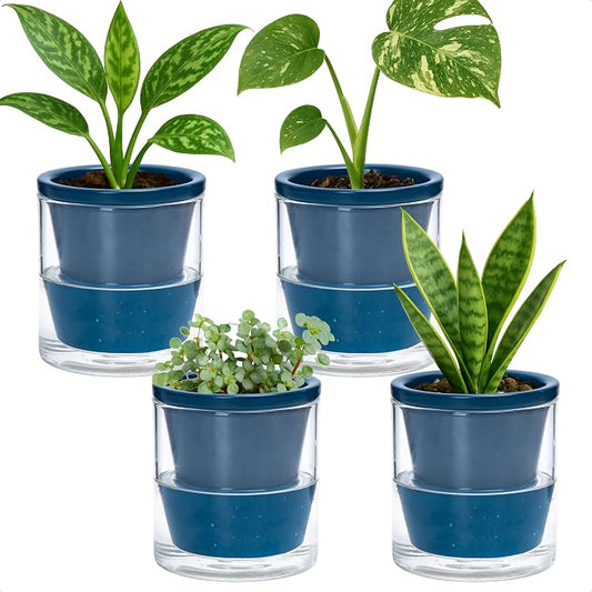 D'vine Dev 4 Inch Design Self Watering Planter for Indoor Plants, Blue Terracotta Pot with Cylinder Glass Cup, Set of 4, 37-Z-A-4-F