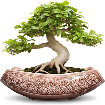 Large Bonsai Pots - 18 Inch Ceramic Succulent Pots with Drainage Hole, Bonsai Planter for Indoor Outdoor Plants, Ceramic Flower Pot, Decorative Plant Pot, Home Decor, Birthday Gifts, Red-Brown