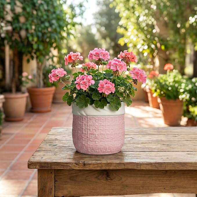 6 Inch Plant Pot - Ceramic Planter for Indoor Outdoor Plants, Round Decorative Planter with Drainage Hole and Plug, Boho Plant Pots, House Room Garden Decor, Plant Lover Gifts, Pink