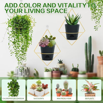 Koalaime 3 Sets Wall Planters for Indoor Plants Geometric Hanging Planters for Indoor Plants - Self-Watering Flower Pots with Black Metal Holder, Mounted Succulent Planter, 5" Black Plant Pot