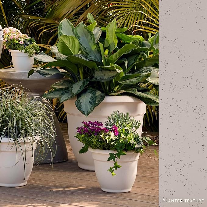 Bloem Ariana 16" Plastic Self-Watering Planter, Vanilla Bean, 2-Pack | Self-watering disk at the bottom of each pot that acts as a water wick and reservoir for optimal plant health