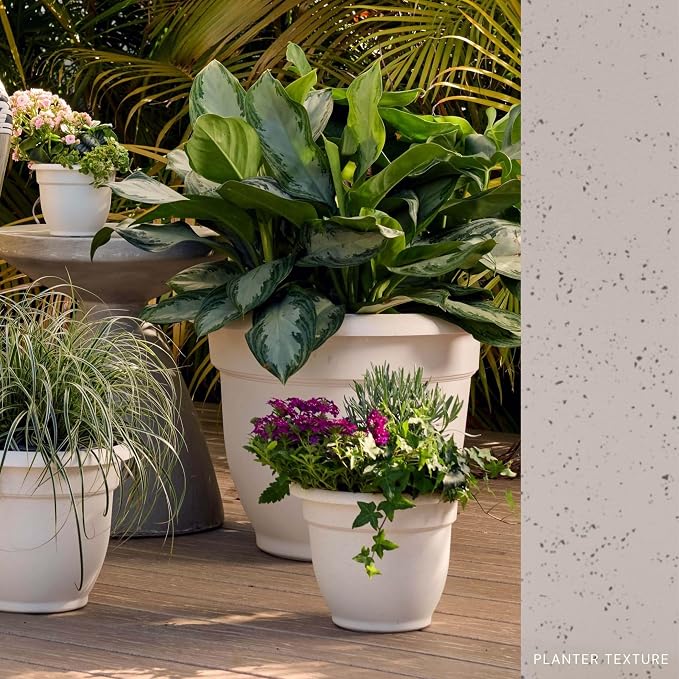 Bloem Ariana 12" Plastic Self-Watering Planter, Vanilla Bean, 2-Pack | Self-watering disk at the bottom of each pot that acts as a water wick and reservoir for optimal plant health