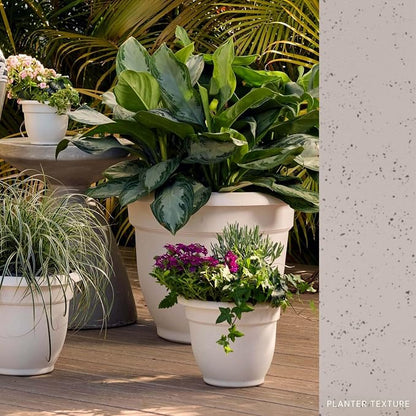 Bloem Ariana 12" Plastic Self-Watering Planter, Vanilla Bean, 2-Pack | Self-watering disk at the bottom of each pot that acts as a water wick and reservoir for optimal plant health